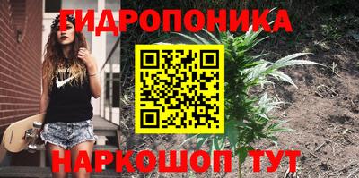 герыч Будённовск