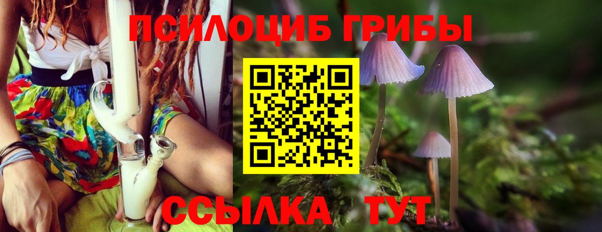 Галлюциногенные грибы Magic Shrooms Строитель